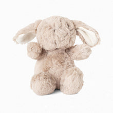 Load image into Gallery viewer, Cuddly Toy
