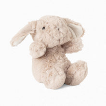 Load image into Gallery viewer, Cuddly Toy
