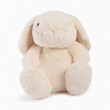Load image into Gallery viewer, Cuddly Toy
